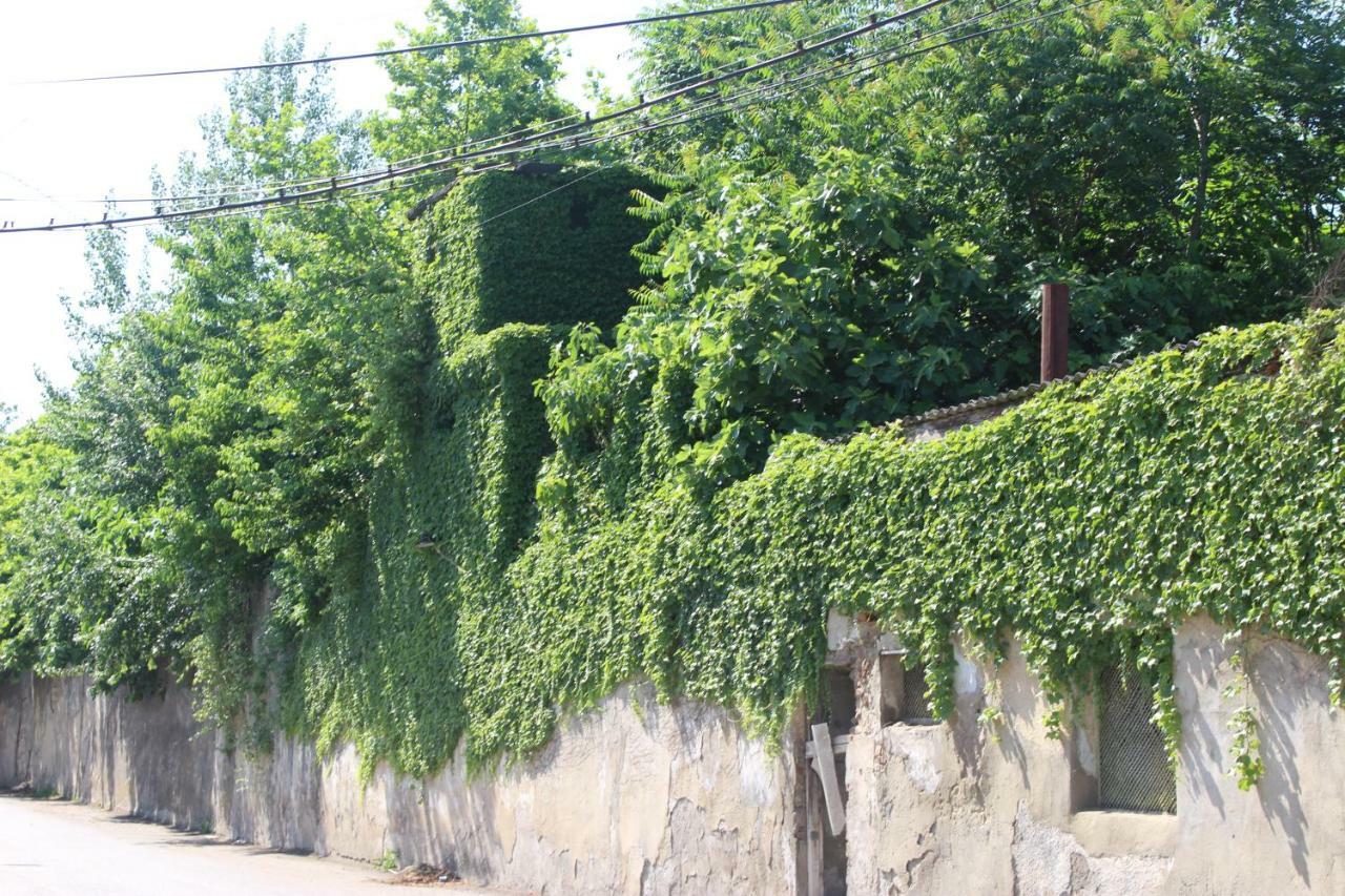 Zarzma Ξενοδοχείο Κουτάισι Εξωτερικό φωτογραφία